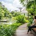 Can Nature Therapy Help You Recover from Burnout? A Guide to Singapore's Healing Green Spaces